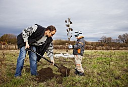 58.202 nových stromů pro Česko díky ŠKODA AUTO